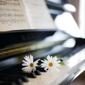 钢琴头像图片大全高清好看的钢琴唯美意境图片头像