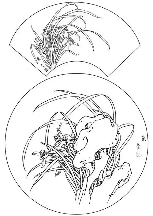 白描| 一组白描兰花图 美极了