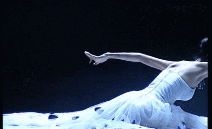 杨丽萍|雀之灵|舞蹈|孔雀舞|雀之恋_网易订阅