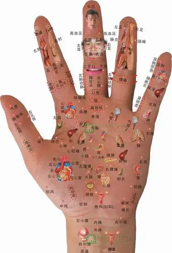 手部全息反射区