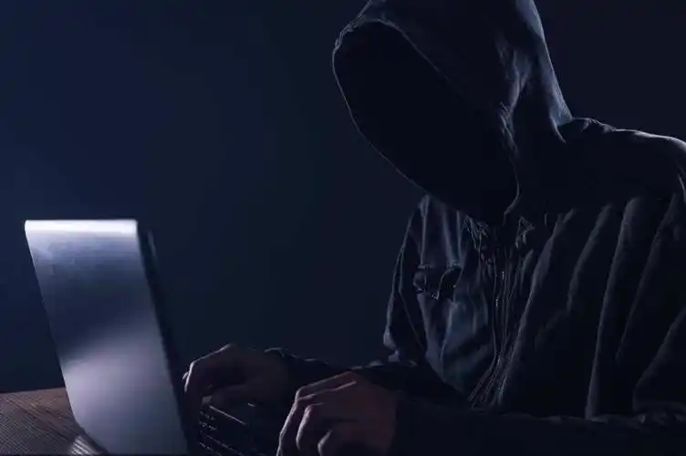 他们是电脑高手,更是一个个神秘的黑客