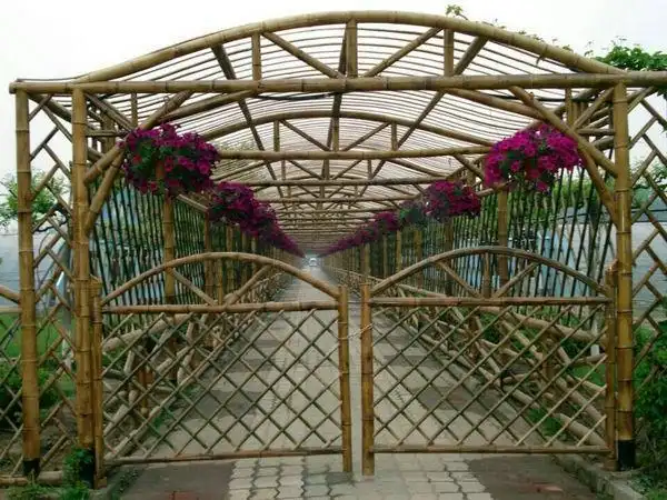 竹花架是用竹子搭成架子.