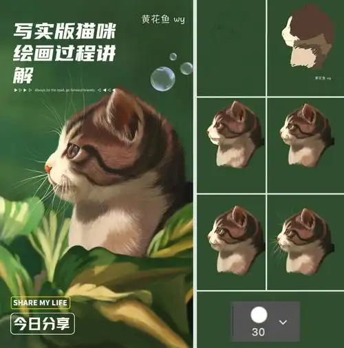 ps写实版猫咪绘画过程讲解