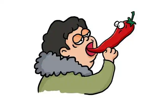 其实辣椒是一种调味料,你感觉到的辣其实是舌头