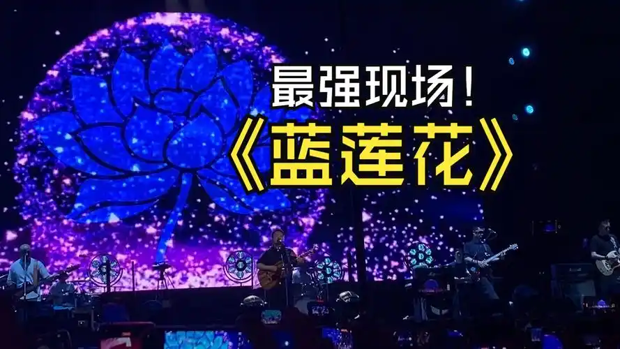 2024长治欢乐太行谷音乐节许巍《蓝莲花》