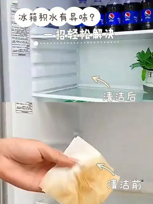 清洁妙招冰箱76积水有异味一招搞定