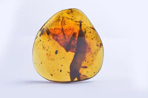 侏罗纪世界3开机,人龙大战一触即发