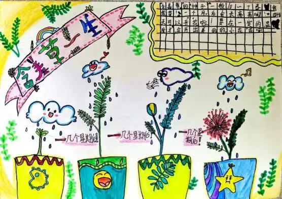 《含羞草的一生》 王雯晴《兰花螳螂》 贾庆正《"毛毛虫"历险记》