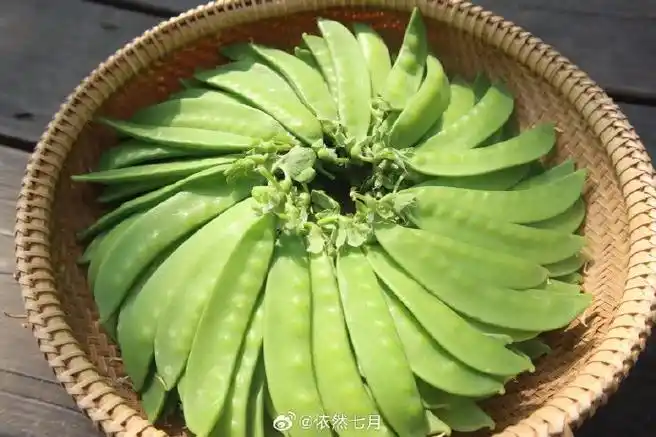 微博尝鲜计划##第一口春天的味道##第一口春的味道