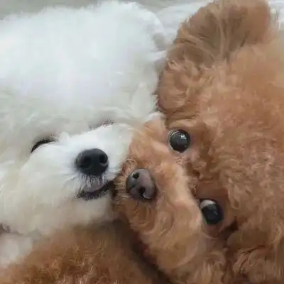 多多关注呀闺蜜头像礼貌拿图