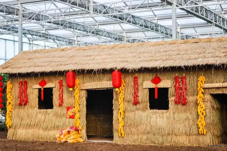 男耕女织 耕牛犁地现场,门前挂满成串玉米的茅草屋