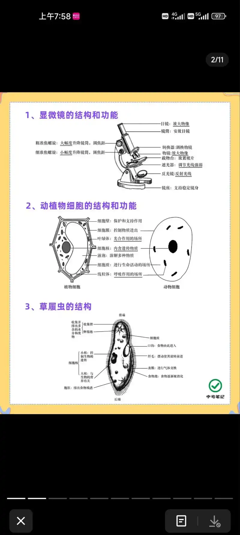 初中生物图解 - 抖音