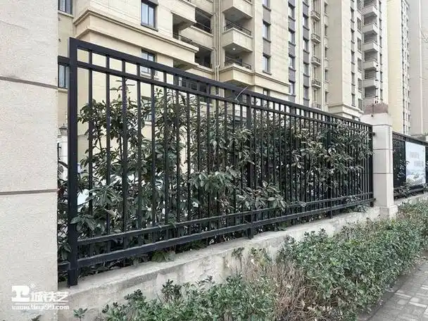 铁艺围栏|铁艺围墙|围墙护栏tw2301-实景拍摄