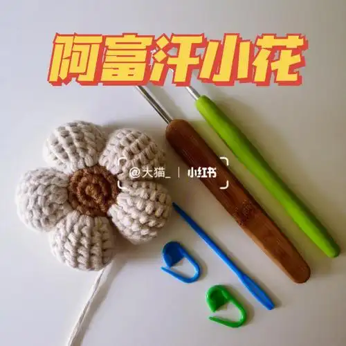 阿富汗钩法 | 小花 61简单钩法说明