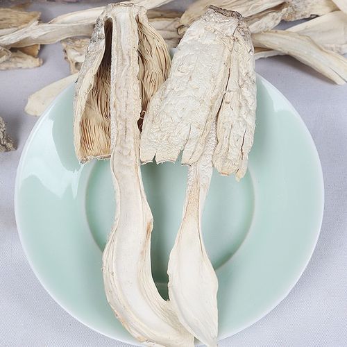 鸡腿菇的功效与作用是什么