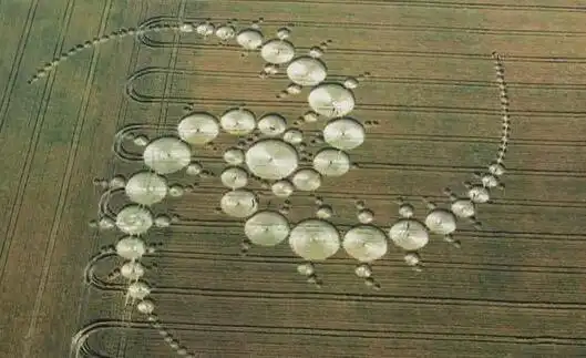 麦田怪圈之谜已被破解已破译的麦田怪圈有哪些