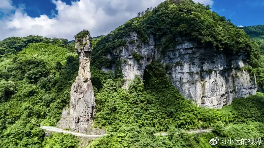 喀斯特地貌形成的奇峰异崖,在金佛山可谓是随处可见,除了西坡的金龟
