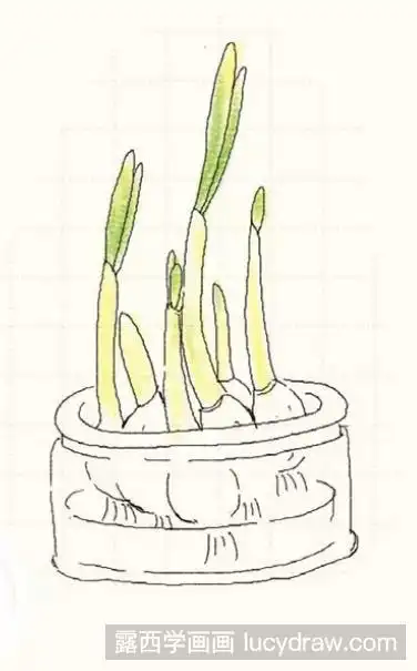 彩铅画教程:蒜苗怎么画