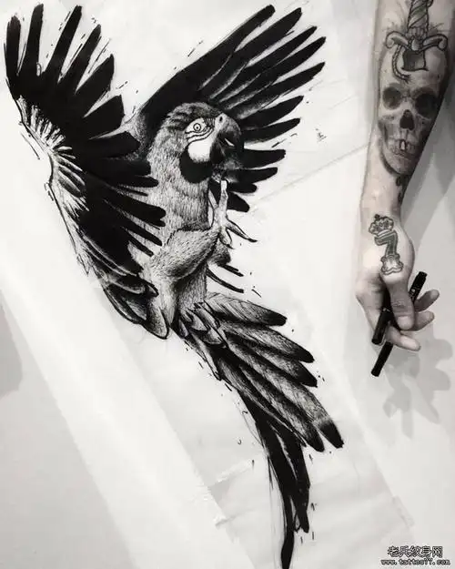 欧美风黑灰鹦鹉纹身图案手稿