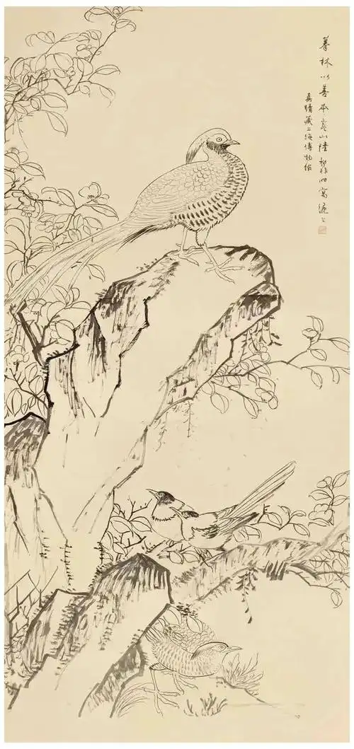 陆抑非白描花鸟课徒稿(53图)|花鸟画|国画|人物画_网易订阅