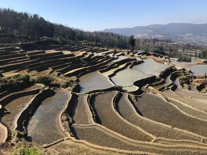 元阳梯田是哈尼族人1300多年来生生不息地"雕刻"的山水田园风光画.