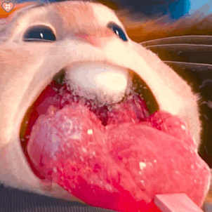 疯狂动物城小老鼠表情包动图