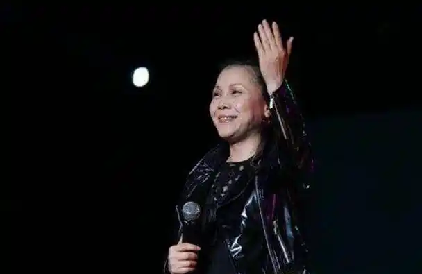 原创张卫宁虽然娶了田震但是却没有要孩子其实田震真的不爱他