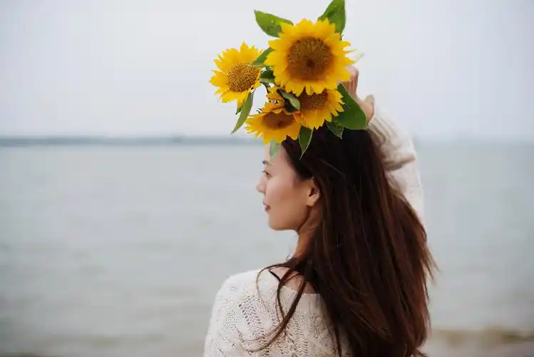 向着太阳的方向