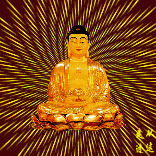 500_500gif 动态图 动图