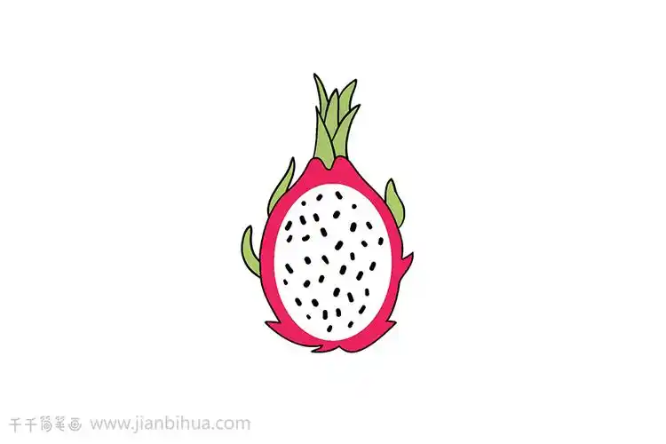 火龙果简笔画如何画_水果简笔画