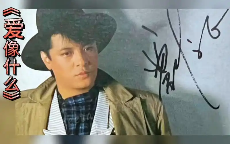 灵魂歌者刘文正一曲《爱像什么》,字正腔圆,欢快俏皮,无愧经典.