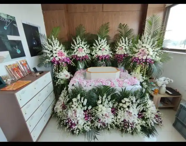 罐头是主人最爱的猫咪,不幸离去了,主人万分伤心,要求我们将灵堂布置