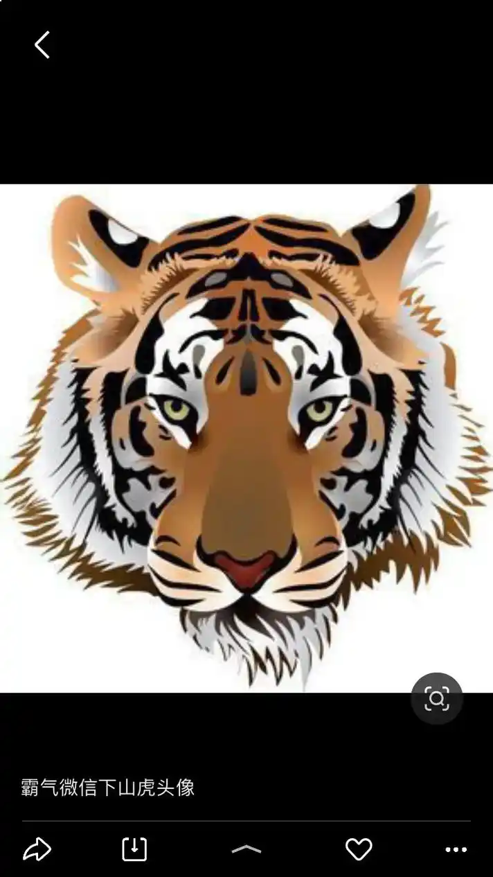 霸气微信下山虎头像老虎卡通头像微信虎祥安磨azg168.cn - 抖音