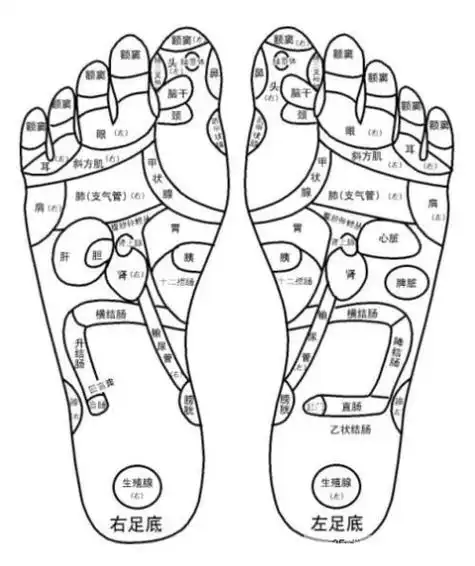 女人脚底有痣代表什么女人脚底长痣好吗女右脚底有痣代表什么