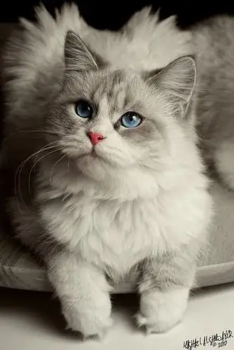 【大菇凉】【此起在盛夏之内 彼伏于光年之外】