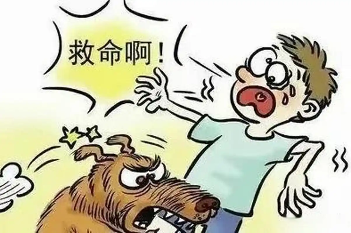 最近,一则狗咬人被反杀的新闻,引起了广泛的社会关注和热议.