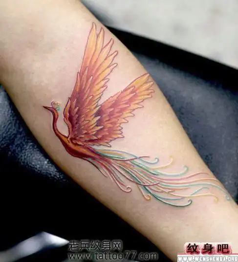 凤凰纹身图案大全 > 正文         金凤凰纹身图 相关推荐