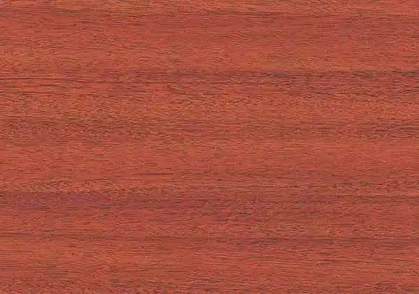 国标红木之外,还有这些名贵的木材?