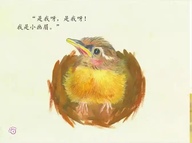 感兴趣的蛋出发,用富有童趣的语言,简单介绍了几种卵生动物和胎生动物