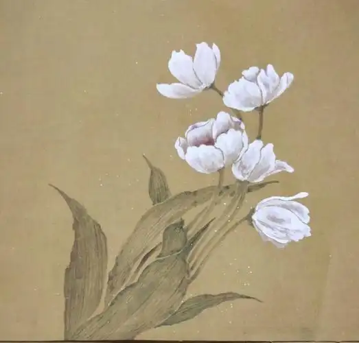 没骨晨练作业一郁金香