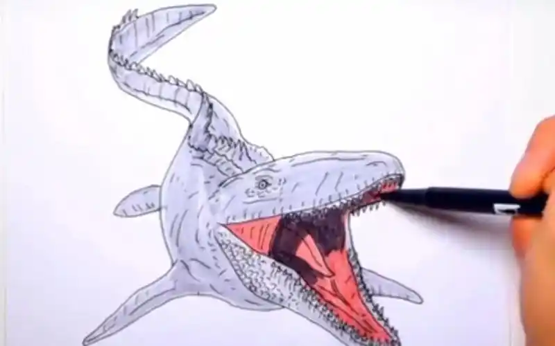 教你用马克笔画鲨鱼太逼真了-教育视频-搜狐视频