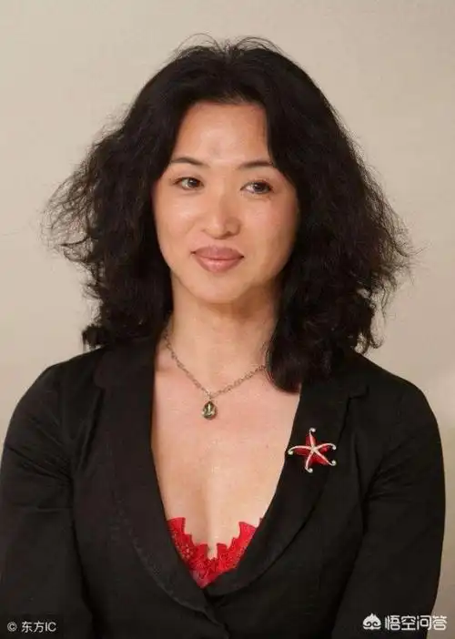 5,金星的个人履历是怎样的,对此你怎么评价?