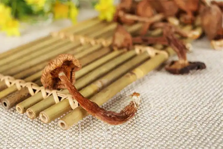 哈尔滨市 黑森 毛尖蘑 盒装150g