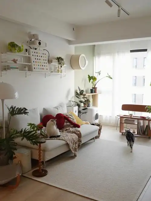 小户型客厅最最最明智的决定是…不要茶几❗️