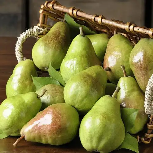 fresh pears, golden pears, bartlett pears