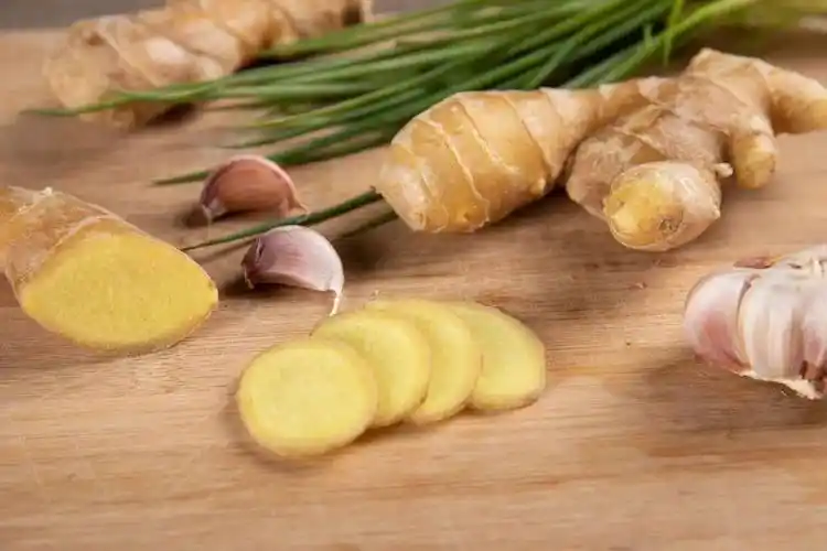 食物_苦味_苦瓜