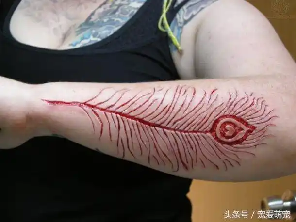 割肉纹身,隔着屏幕看着都疼