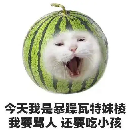 今天我是暴躁瓦特妹棱(西瓜),我要骂人,还要吃小孩