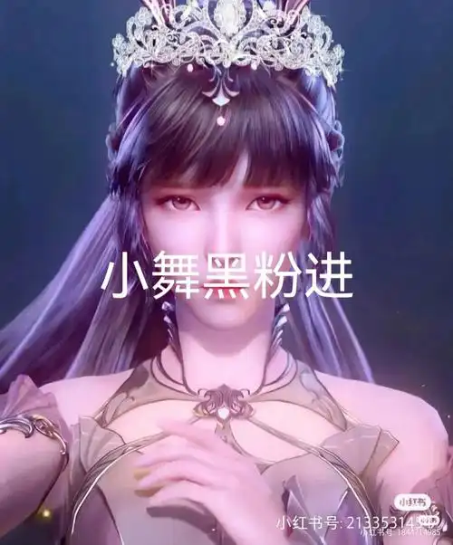 小舞的黑粉进
