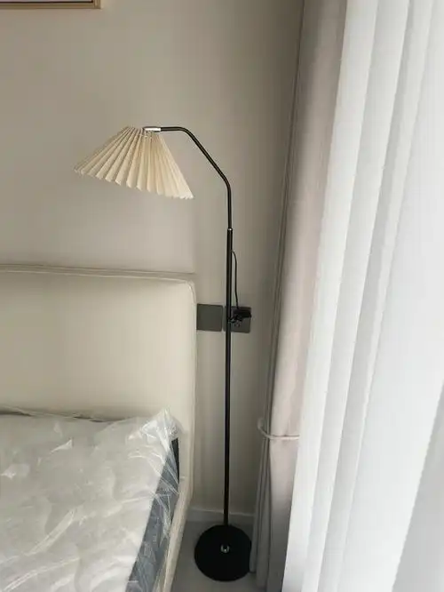 落地灯也适合放到卧室床头或者沙发旁边并且这个价格还要什么自行车呀